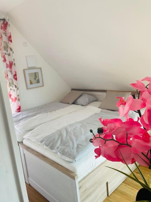 Apartment Scholle Steinbeck Recke Екстер'єр фото